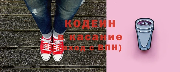 ешки Арсеньев